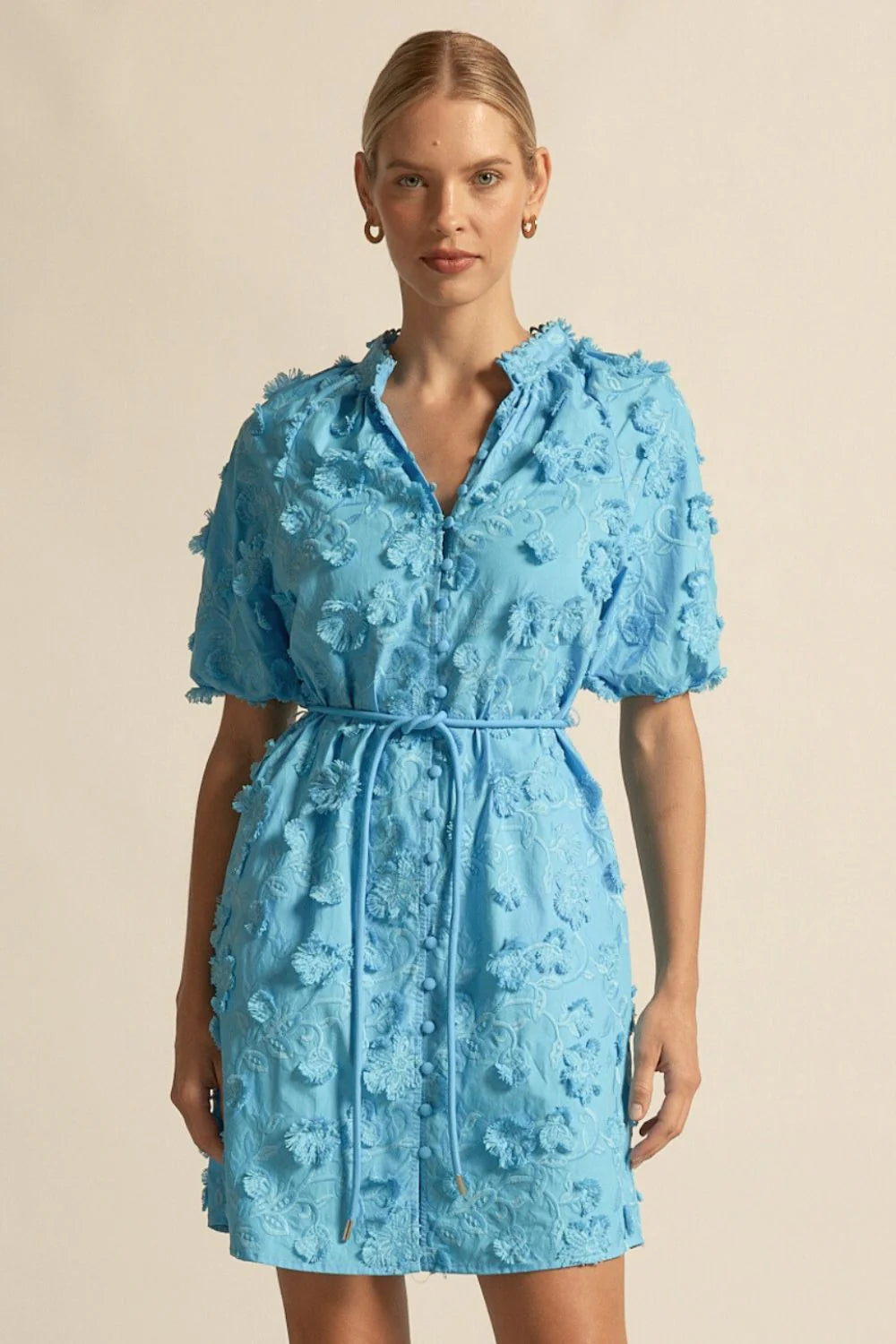 Aspect Dress- Bay Brodeire