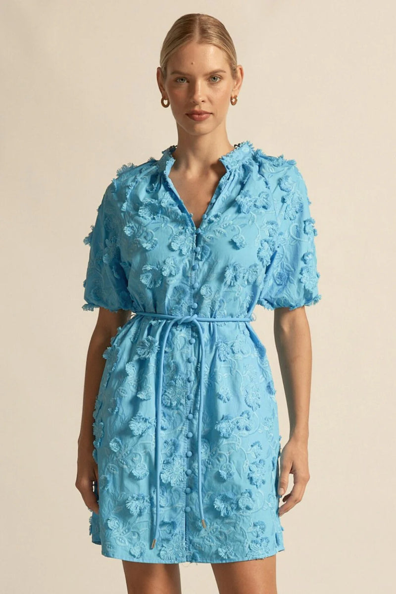 Aspect Dress- Bay Brodeire