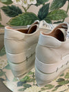 2001- Blanco Diamante Mesh