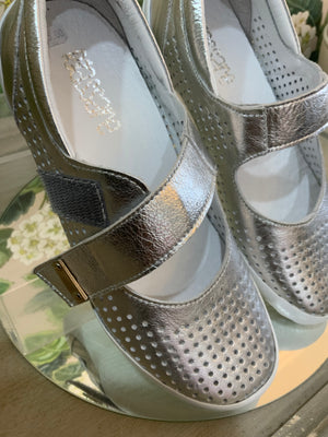 Taylor- Silver
