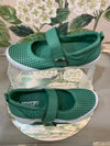 Taylor- Green