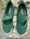 Taylor- Green