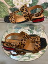 Santo- Leopard