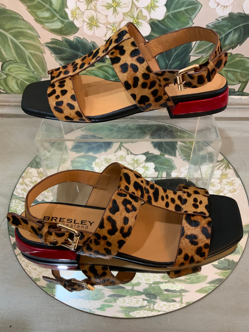 Santo- Leopard