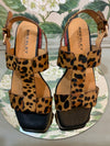 Santo- Leopard