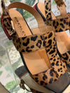 Santo- Leopard